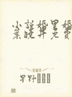 小说婚里婚外 叶晓井免费阅读
