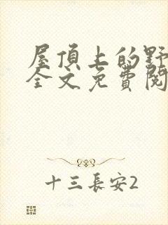 书籍封面