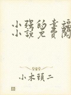 小强的幸福生活小说免费阅读
