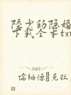 陆少的隐婚罪妻下载全本txt