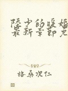 陆少的暖婚新妻最新章节免费阅读
