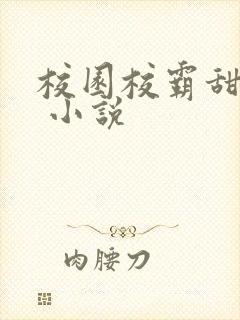校园校霸甜宠文 小说