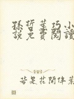孙哲叶巧小妈小说免费阅读