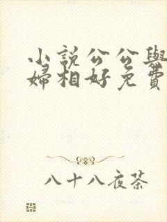 小说公公与儿媳妇相好免费阅读封面