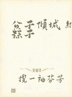 公子倾城 维和粽子