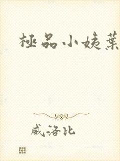 极品小姨叶凡
