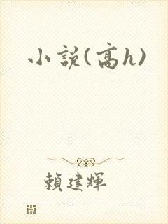 小说(高h)