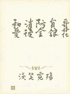 和消防员哥哥恋爱后金银花趣笔阁封面
