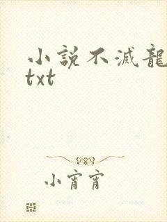 小说不灭龙帝诀txt