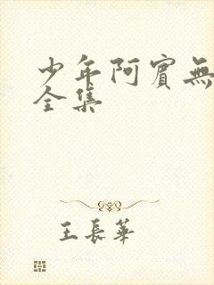 少年阿宾无删减全集