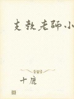 支教老师小说