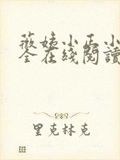 薇姨小正小说大全在线阅读