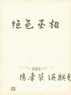 绝色丞相
