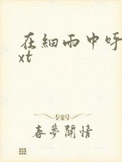 在细雨中呼喊txt