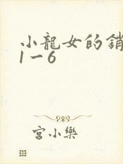 小龙女的销魂夜1一6封面