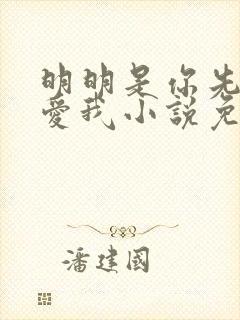 明明是你先说的爱我小说免费阅读封面