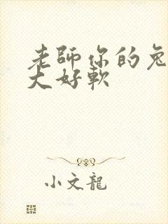 老师你的兔子好大好软封面
