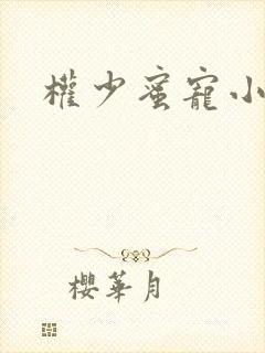 权少蜜宠小娇妻