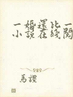 一婚还比一婚高小说在线阅读