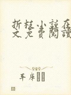 折枝小说在线全文免费阅读无弹窗