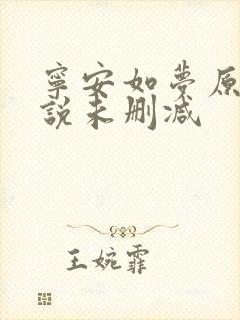 宁安如梦原著小说未删减