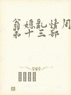 翁媳乱情周梦莹第十三部封面
