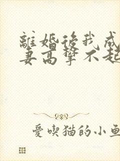 离婚后我成了前妻高攀不起的神封面