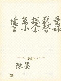 亿万总裁爱上我言小念替嫁成婚