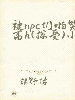 被npc们啪哭高h(总受)小说免费阅读