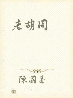 老胡同