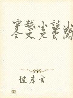 穿越小说小阁老全文免费阅读