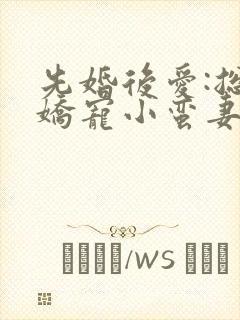 先婚后爱:总裁娇宠小蛮妻
