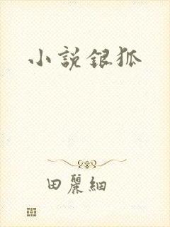 小说银狐