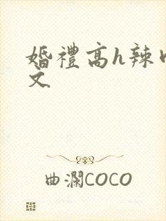 婚礼高h辣肉嗨文