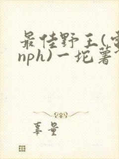 最佳野王(电竞nph)一坨薯饼