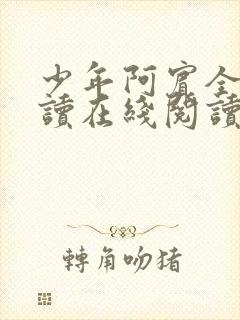 少年阿宾全文阅读在线阅读