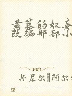 黄蓉的奴妾小说改编哪部小说