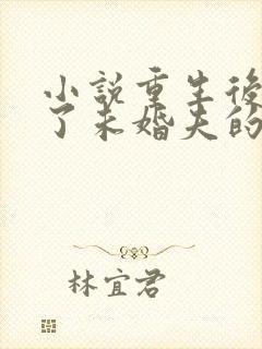 小说重生后我嫁了未婚夫的皇叔阅读封面