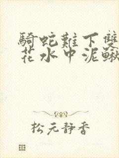 骑蛇难下双金银花水中泥鳅双男主