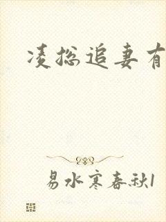 凌总追妻有点甜