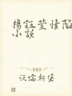 杨钰莹情陷红楼小说
