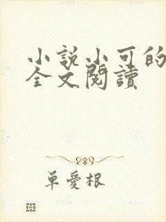 小说小可的奶水全文阅读