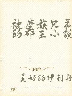 被魔族兄弟囚禁的郡主小说免费阅读