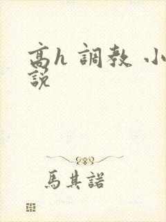 高h 调教 小说封面