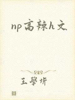 np高辣h文