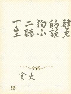 丁二狗的肆意人生听小说免费