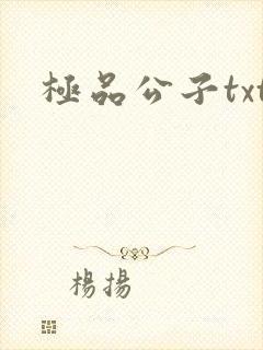 极品公子txt