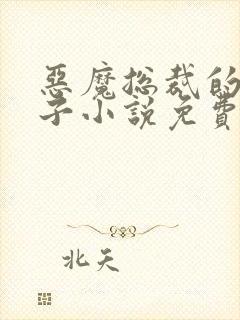 恶魔总裁的小妻子小说免费阅读