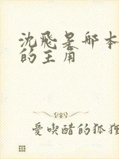 沈飞是哪本小说的主角
