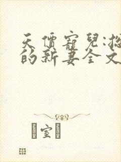 天价宠儿:总裁的新妻全文免费阅读封面